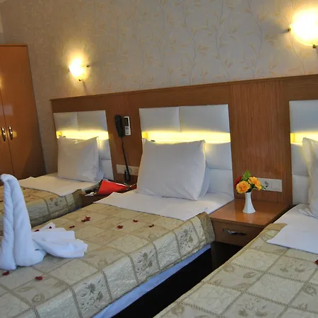 Hotel Star Park 3*