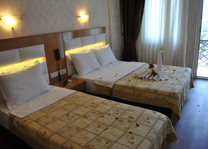Hotel Star Park 3*